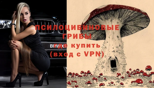 кокс Богданович