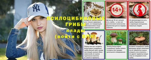 apvp Богородск