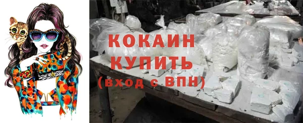 apvp Богородск