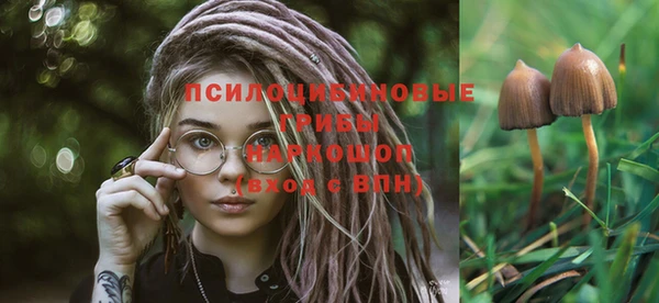 марихуана Богородицк