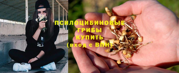 марихуана Богородицк
